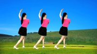 广场舞《还没有爱够》旋律动感动听正背面演示下载