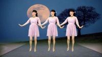广场舞《望星空》优美抒情32步好听又好看下载