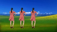 经典老歌广场舞《九妹》动感DJ版好听又好看下载