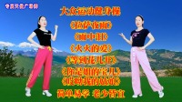广场舞《拉萨夜雨》《雨中泪》《火火的爱》《等到花儿开》零基础健身操下载