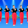 DJ广场舞《让我飞》正面附教学下载