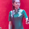 河南坠子《古城会》下载