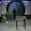 双槐树