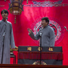 羊上树下载
