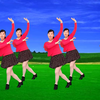 玫香广场舞《前世今生的缘》32步教学下载