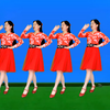 广场舞《真无奈》歌醉舞美附教学下载
