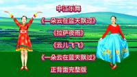 广场舞串烧《一朵云在蓝天飘过》《云儿飞飞》《拉萨夜雨》正背面演示下载