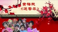 黄梅戏《送香茶》全剧 胜龙黄梅戏剧团演出