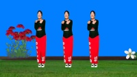 富平百合广场舞《一朵情花开》完整版下载