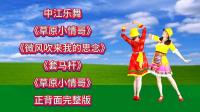 精选广场舞连跳《草原小情哥》《套马杆》《微风吹来我的思念》下载