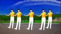 广场舞《想你的时候为你把歌唱》正反面有教学适合大众下载