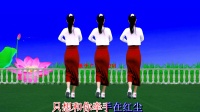 广场舞《只想做你心上的人》背面带跳好学下载