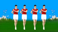 DJ情歌广场舞《陪你渡红尘》旋律动感动听正背面演示下载