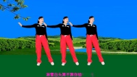 玫香广场舞《雪舞翩翩人未还》正背面附教学下载