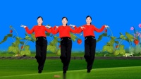 玫香广场舞《爱你是一场美丽的错误》32步正背面附教学下载