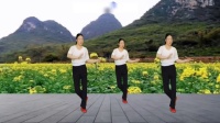 64步广场舞《掌心之中》歌好听舞好看简单易学下载