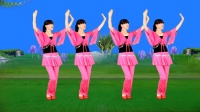 广场舞《十五的月亮》纯音乐版 好听好看附分解下载