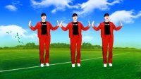 广场舞《辛苦挣钱为养家》句句现实好听好看下载