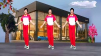 富平百合广场舞《撞够了南墙才回头》完整版下载