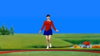 DJ情歌广场舞《留不住的年华》零基础大众步伐好看又好学下载