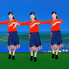 广场舞《献给妈妈的歌》歌醉舞美 送天下所有母亲下载