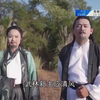 陆萍坊歌仔戏《追风令》第九集大结局下载