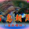 唢呐经典《百鸟朝凤》《朝阳沟》