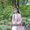 陆方萍歌仔戏《追风令》第3集下载