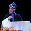 秦腔《双官诰》又名《三娘教子》全本全字幕下载
