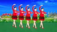 玫香广场舞《山里人乐的好潇洒》正背面附教学下载