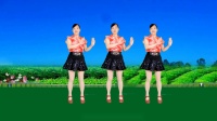 玫香广场舞《今夜舞起来》32步正背面附教学下载