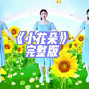 幼儿舞蹈《小花朵》完整版下载