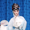 京剧荀派经典演唱会（众多名段经典和名角）下载