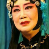 扬剧李开敏专场下载