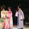 越剧品洁如雪艺传芳芬纪念袁雪芬越剧演出专