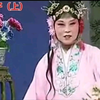 庐剧《三娘教子》上集
