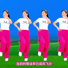玫香广场舞《负我不负她》正背面附教学下载