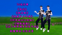 DJ广场舞串烧《待你》《承蒙岁月不弃》《你是我永远的痛》下载