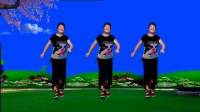 富平百合广场舞《一曲红尘》完整版下载