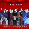 豫剧常派经典代表剧目《红白花》全场戏 河