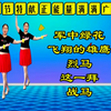 广场舞串烧《军中绿花》《飞翔的雄鹰》《这一拜》《烈马》下载