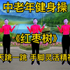 中老年健身操《红枣树》每天跳一跳 减肥没烦恼 手脚灵活精神好下载