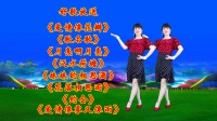广场舞串烧《爱情像花瓣》《歌名歌》《月亮啊月亮》《妹妹的相思酒》下载