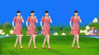 广场舞《光落叶知深秋》《愿你天天好心情》下载