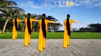 广场舞《小小新娘花》舞步优美抒情好看下载
