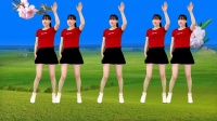 阳光香果广场舞串烧《踏浪》《雨中泪》《咱老百姓》经典老歌舞蹈下载