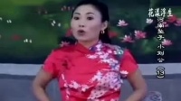 河南坠子《刘统勋小出身》全本1-30集