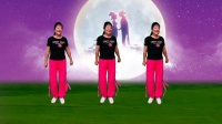 富平百合广场舞《一生一世一个你》完整版下载