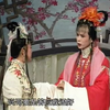 庐剧《牡丹魂》下集下载