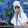 豫剧名家田敏唱腔集锦